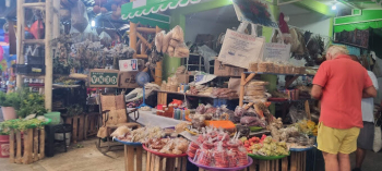Mercado Benito Juárez, Alimentos Frescos en Puerto Escondido